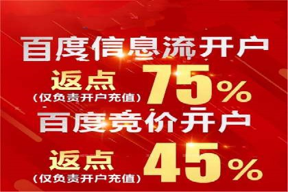 SEM竞价广告优化全攻略：经典案例解析